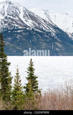 Lago Tutshi con alberi sempreverdi e montagne innevate nella British Columbia, Canada Foto Stock