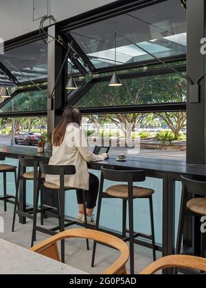 L'area salotto della lobby cafe' con finestre operabili. 65 Pirrama Road, Pyrmont, Australia. Architetto: Puksand grigio, 2021. Foto Stock