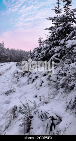 Un paesaggio innevato in germania. WIntertale. Wintermärchen in der Eifel. Foto Stock