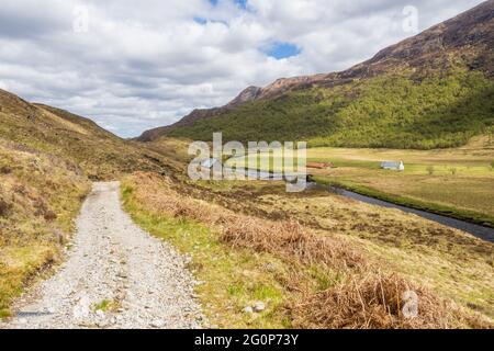 Camminare sul circuito Glen Affric. Con il consenso comune, Glen Affric è il più bello di tutte le valli scozzesi. Offre una favolosa varietà di paesaggi e io Foto Stock