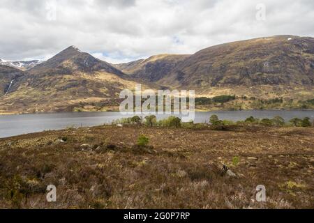 Camminare sul circuito Glen Affric. Con il consenso comune, Glen Affric è il più bello di tutte le valli scozzesi. Offre una favolosa varietà di paesaggi e io Foto Stock