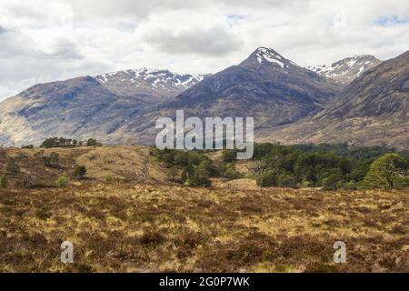 Camminare sul circuito Glen Affric. Con il consenso comune, Glen Affric è il più bello di tutte le valli scozzesi. Offre una favolosa varietà di paesaggi e io Foto Stock