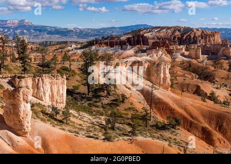 Bryce Canyon dal Queens Garden Trail, Utah, USA Foto Stock