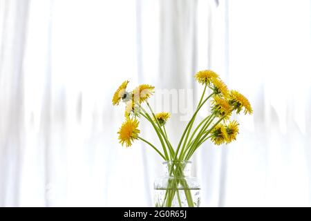 Mazzetto di mordelioni gialli profumati in vaso di vetro posto in camera luminosa alla luce del giorno Foto Stock