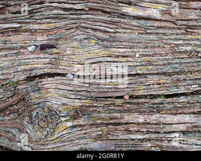 vecchia struttura in legno con chiodo arrugginito Foto Stock