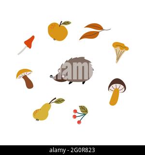 Headgehog e set di foglie e frutti autunnali Illustrazione Vettoriale