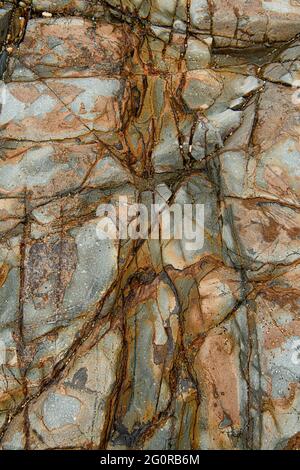 Le rocce nelle scogliere di Porthleven sono principalmente rocce sedimentarie a grana fine turbiditi, i Turbiditi sono sedimenti che vengono trasportati e depositati Foto Stock