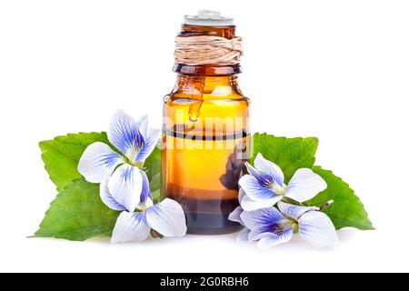 Olio essenziale di colore viola su fondo bianco Foto Stock