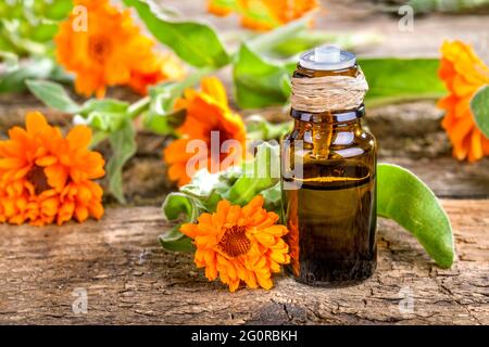 Olio essenziale di marigold su tavola rustica Foto Stock