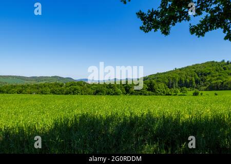 Vista dall'escursione a Reinnsteig al Castello di Wartburg in Turingia Foto Stock