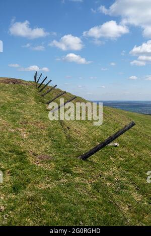 Una recinzione pendente su Willstone Hill, vicino a Church Stretton, Shropshire Foto Stock