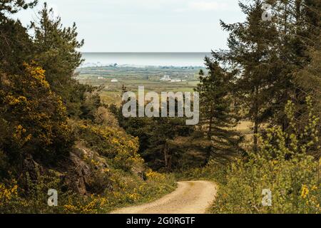 Paesaggio irlandese. Vista dalla collina Tara nei dintorni. Contea di Wexford. Irlanda. Foto Stock