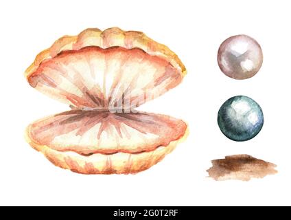 Set di perle e conchiglie. Illustrazione di acquerello disegnata a mano, isolata su sfondo bianco Foto Stock