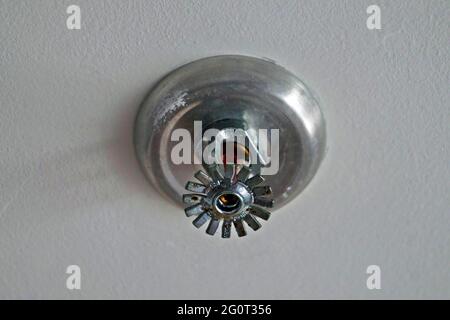 Irrigatore automatico a soffitto nell'hotel Foto Stock