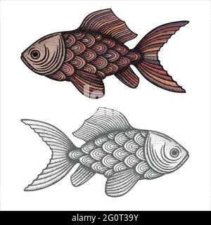 Set di disegni astratti di pesce. Pesce d'annata disegnato a mano, illustrazioni vettoriali in stile incisione. Parte del set. Illustrazione Vettoriale