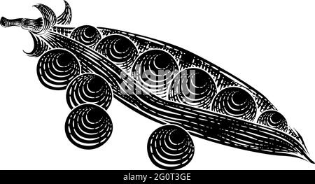 Pod di piselli dolci Pod di verdure in stile Woodcut vintage Illustrazione Vettoriale