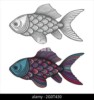 Set di disegni astratti di pesce. Pesce d'annata disegnato a mano, illustrazioni vettoriali in stile incisione. Parte del set. Illustrazione Vettoriale