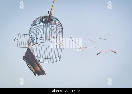 Uccelli che volano dalla gabbia al cielo blu. Il concetto di limitazioni di sollevamento. Foto sfocata con messa a fuoco morbida. Foto Stock