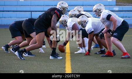 Berlino, Germania. 02 giugno 2021. American Football, ELF, Stagione 2021, allenamento, Berlino Thunder: I giocatori del Thunder di Berlino durante l'allenamento. Il capo allenatore Bal è convinto della sua squadra due settimane prima dell'inizio della nuova European Football League (EFL). (A 'due settimane prima dell'inizio dell'EFL: Thunder Coach soddisfatto della preparazione') credito: Michael Hundt/dpa/Alamy Live News Foto Stock