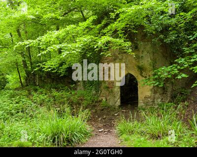 Le rovine di Mendip Lodge, il ritiro di campagna del 18 ° secolo del reverendo Thomas Sedgewick Whalley, nel legno di Mendip Lodge nelle colline di Mendip, alta Langford, Somerset del Nord, Inghilterra. Foto Stock