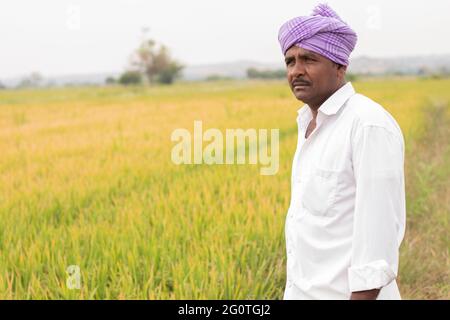 Medio primo piano Shot di Serious Indian Farmer in piedi nel mezzo del campo di risaie con spazio copia Foto Stock