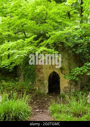 Le rovine di Mendip Lodge, il ritiro di campagna del 18 ° secolo del reverendo Thomas Sedgewick Whalley, nel legno di Mendip Lodge nelle colline di Mendip, alta Langford, Somerset del Nord, Inghilterra. Foto Stock