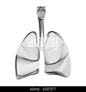 Sagoma dei polmoni umani composta da punti neri e particelle. Reticolo vettoriale 3D dell'organo interno con una struttura a grana. Icona geometrica astratta con Illustrazione Vettoriale