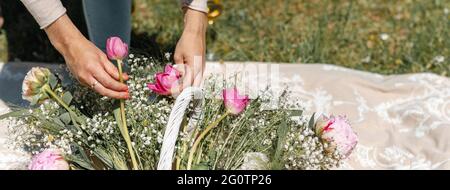 Primo piano mani donna che toccano e sistemano tulipani rosa e fiori bianchi selvatici in un cesto su una coperta spalmata sull'erba. Banner orizzontale o lui Foto Stock