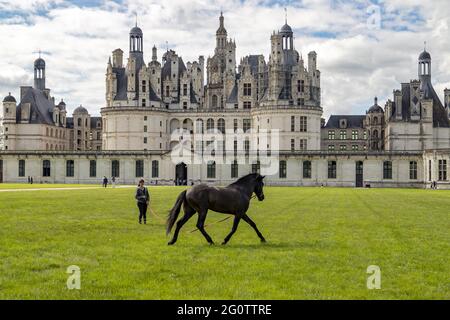 Chambord, Francia. 27 maggio 2021. Castello di Chambord, dressage cavallo, patrimonio dell'umanità dell'UNESCO nella Valle della Loira, Francia, Europa occidentale. Foto Stock