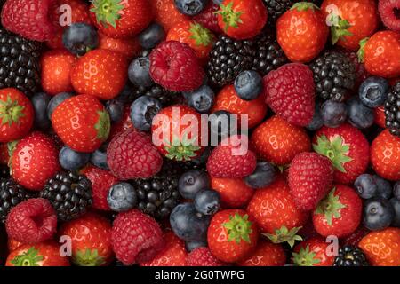 Variazione di frutta mista estiva, fragole, mirtilli, lamponi e more primo piano full frame Foto Stock