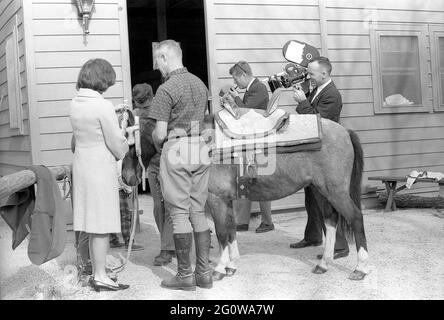 KN-27625 31 marzo 1963 Weekend a Camp David. Il presidente John F. Kennedy, First Lady Jacqueline B. Kennedy e altri con 'Macaroni' in sella marocchina, un dono di re Hassan II, durante un fine settimana a Camp David. Si prega di credito 'Robert Knudsen. Fotografie della Casa Bianca. John F. Kennedy Presidential Library and Museum, Boston' Foto Stock