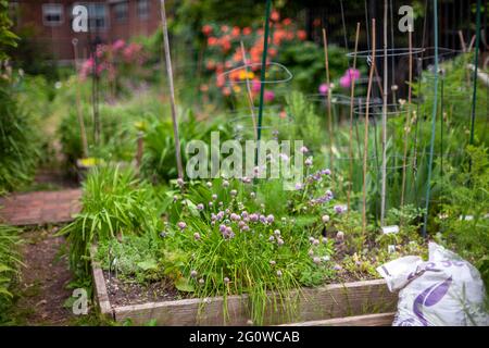 New York, Stati Uniti. 02 giugno 2021. Giardino urbano a New York il mercoledì 2 giugno 2021. (Foto di Richard B. Levine) Credit: Sipa USA/Alamy Live News Foto Stock