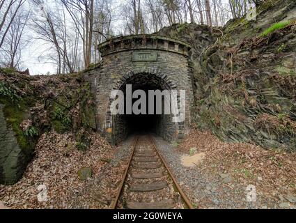 Vista interna di un tunnel ferroviario con binari che conducono in lontananza, prospettiva industriale e architettonica, luce e profondità spettacolari Foto Stock