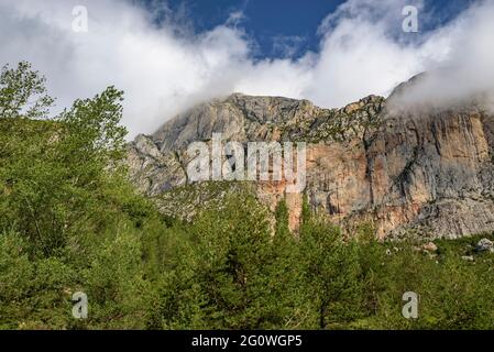 Pedraforcia parete sud vista dalle vecchie miniere di superficie (Berguedà, Catalogna, Spagna, Pirenei) Foto Stock