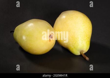 pera gialla su sfondo nero Foto Stock