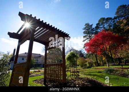 Vista dal basso angolo della tettoia nel parco pubblico Foto Stock