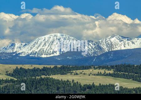 le cime dell'anaconda si trovano ai piedi delle colline e dei prati nei pressi di philipsburg, montana Foto Stock