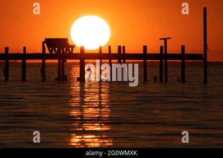 Un airone si trova sotto un molo di sole tramonta su Mobile Bay come visto da Fairhope, al, USA, il 4 novembre 2020. Foto Stock