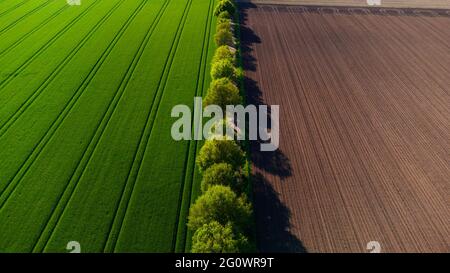 Splendido paesaggio estivo con alberi e campi. La foto è stata scattata in Germania. Foto Stock