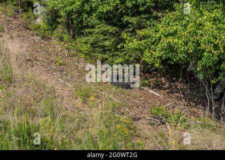 In piedi su una collina che guarda giù su un pneumatico usato scaricato in un fosso lungo la strada con altri detriti circostanti in una giornata di sole Foto Stock