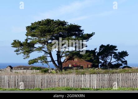 Casa Mendocino sul promontorio con alberi di pino Foto Stock