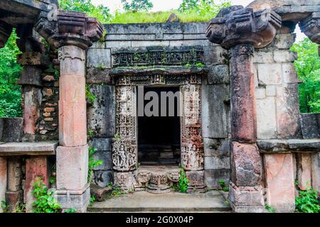 Varie vedute della Foresta di Polo, Gujarat Foto Stock