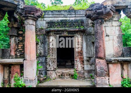 Varie vedute della Foresta di Polo, Gujarat Foto Stock