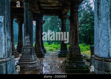 Varie vedute della Foresta di Polo, Gujarat Foto Stock