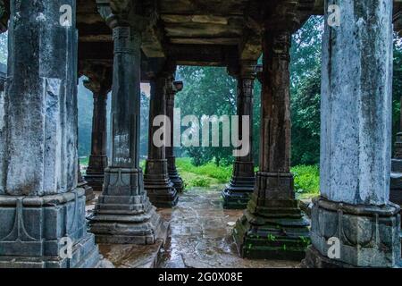 Varie vedute della Foresta di Polo, Gujarat Foto Stock