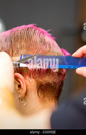 Giovane donna caucasica con capelli rosa che ottiene un taglio corto dalle mani di un parrucchiere maschio in un parrucchiere Foto Stock