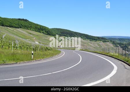 Vigneti intorno a Piesport Foto Stock