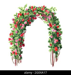 Arrampicata rose arco. Illustrazione di acquerello disegnata a mano isolata su sfondo bianco Foto Stock