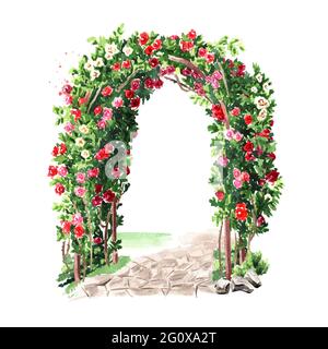 Arco di rose rampicanti rosso e rosa. Illustrazione di acquerello disegnata a mano isolata su sfondo bianco Foto Stock