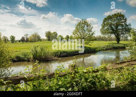 Paesaggio, recinzione, fiume Wey e campo da golf Wisley nel luminoso sole di primavera Surrey Foto Stock